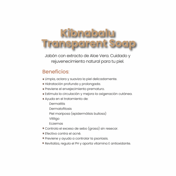 productos con ganoderma_Mesa de trabajo 1-29 🧼 KIBNABALU TRANSPARENT SOAP | JABÓN REJUVENECEDOR CON GANODERMA
